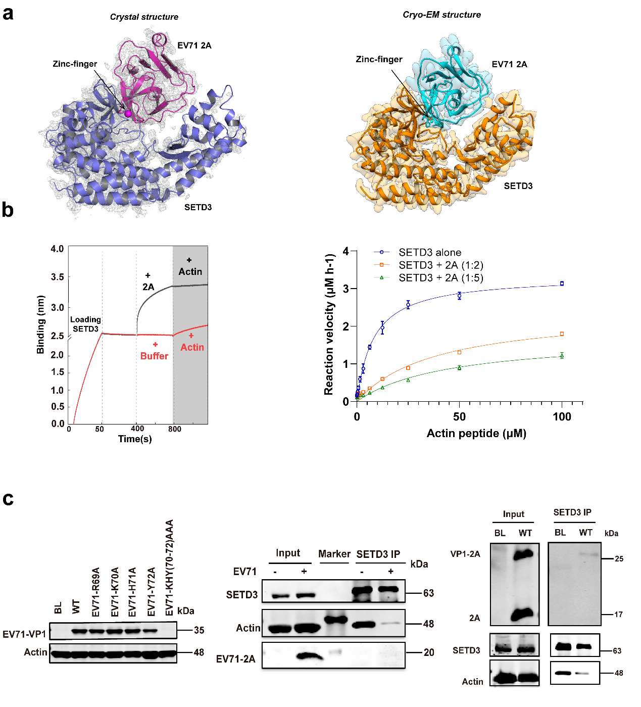 E:\新闻稿\所内新闻-崔胜、高小攀、王健伟组-《Nature Communications》-IF16.6.files\image001.png